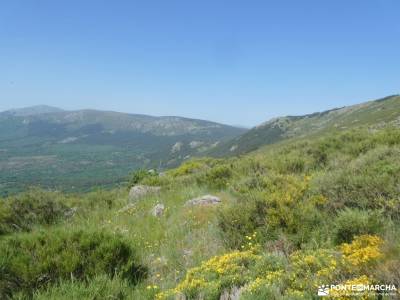 Rodeando la Cima Cabeza de la Braña;andorra senderismo herreria madrid sierra de madrid pueblos con 